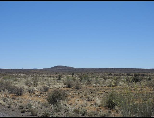 2,363HA FARM FOR SALE IN MERWEVILLE